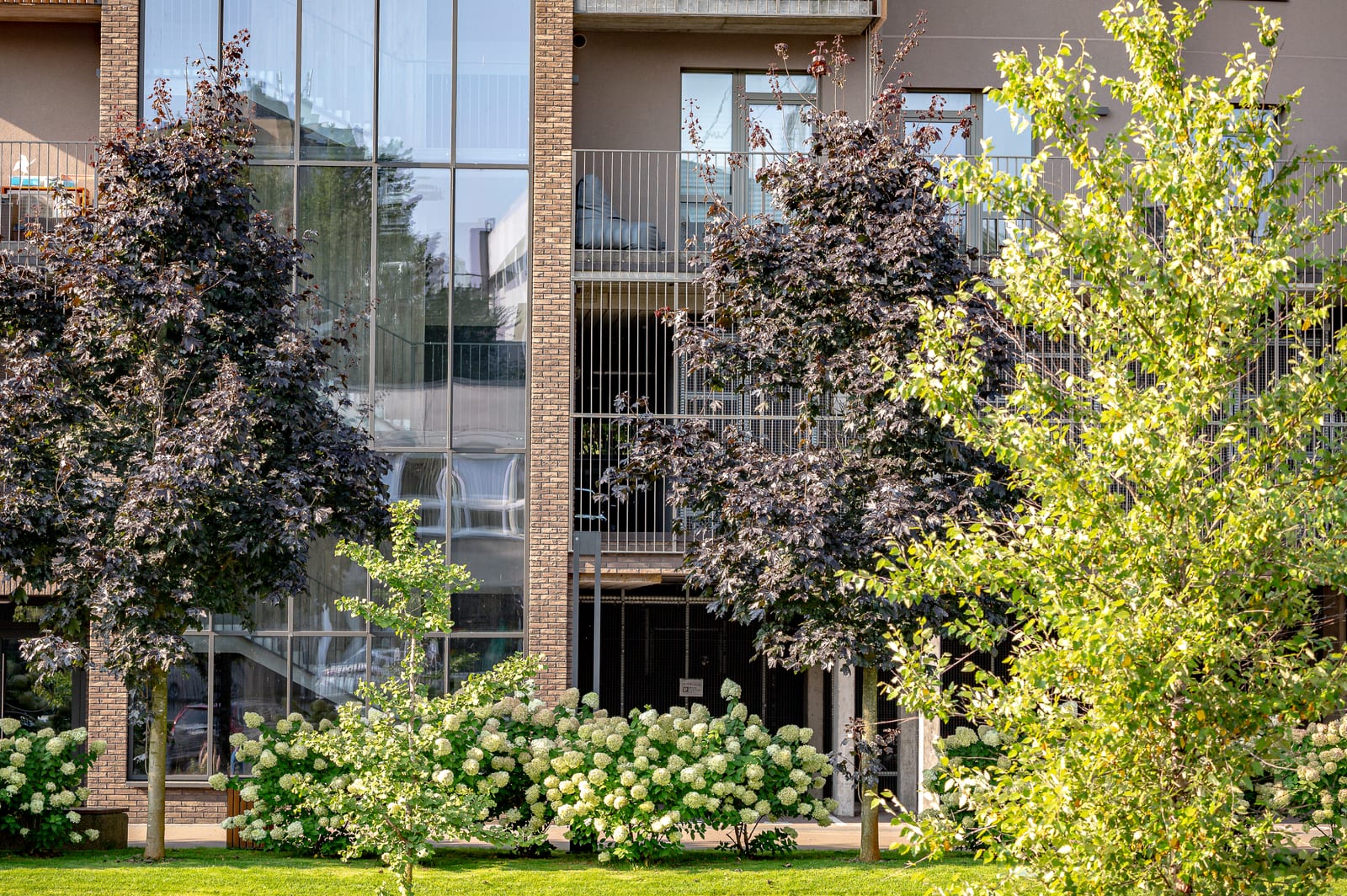 The entrance seen through the trees: the glazed stairwell rising through several floors, clinker-brick walls and hydrangeas right by the door.
