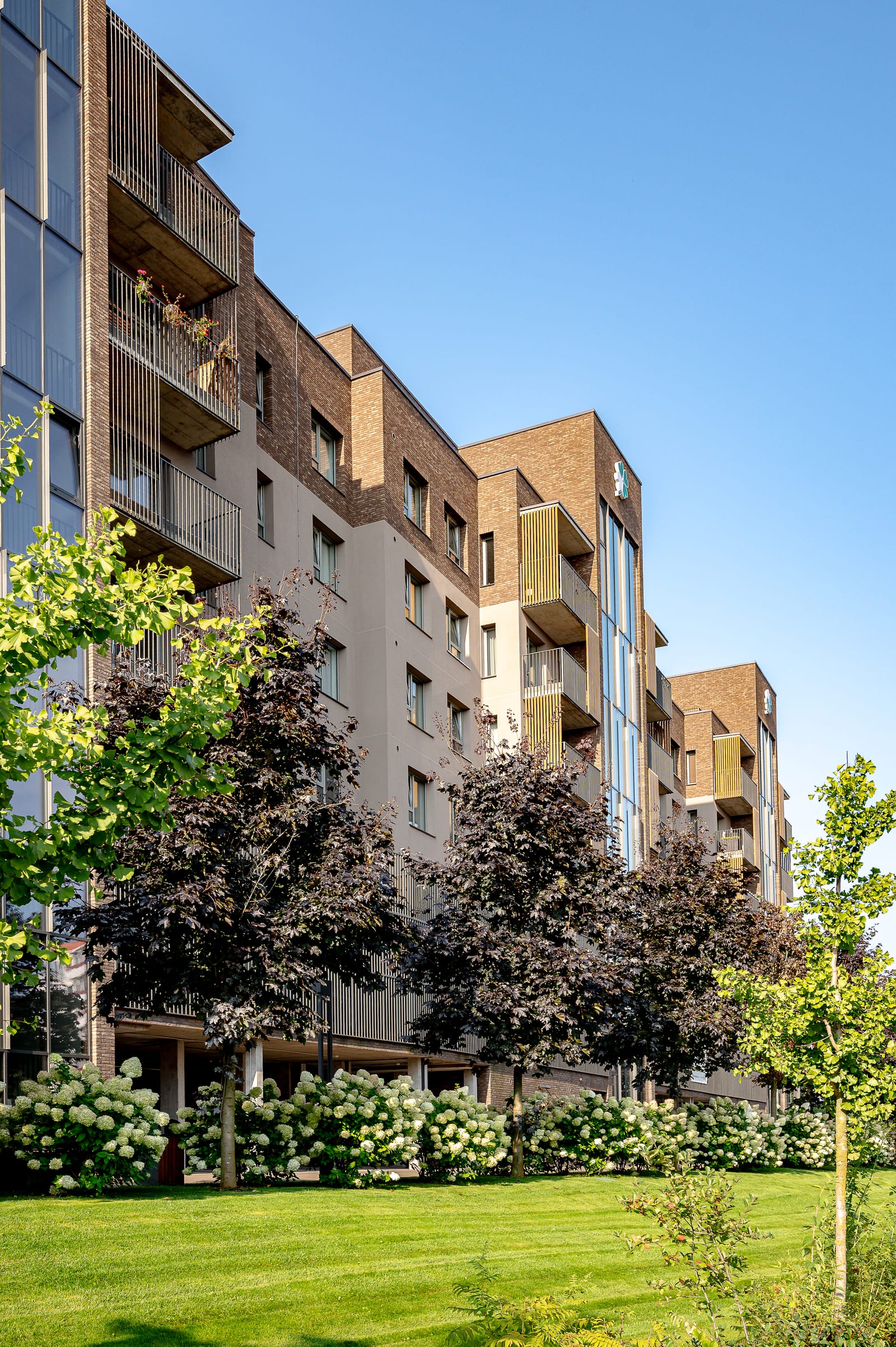 The facade seen upright: a glazed stairwell and rows of balconies receding into the distance, with maples, a bright-leaved tree, a band of hydrangeas and a wide lawn in front.